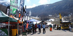 Classifiche finali WILD GAMES 2012 Classifiche finali WILD GAMES 2012